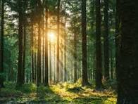 LICITACE_Test Zveřejnění